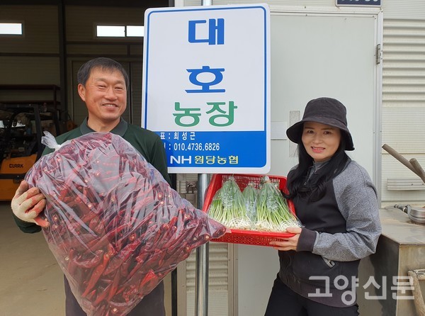 튼실한 모종, 건강한 농산물, 수도작에 쏟는 땀방울