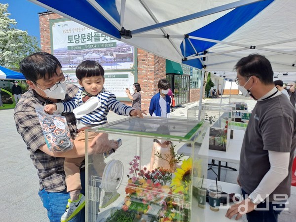 야호! 어린이날, 곤충과 함께 놀자