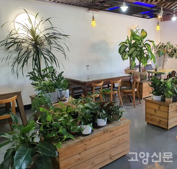 송포 지역의 소중한 쉼터가 되는 특별한 카페