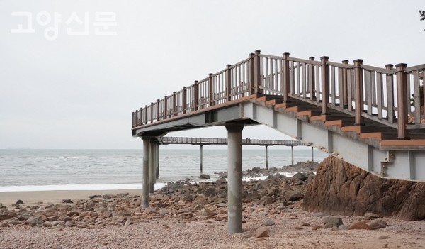 움츠러든 계절 툭툭 털어내고… 떠나자, 겨울바다로