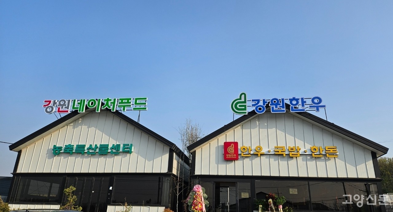 강원한우구이에서 우(牛)마카세 어때?