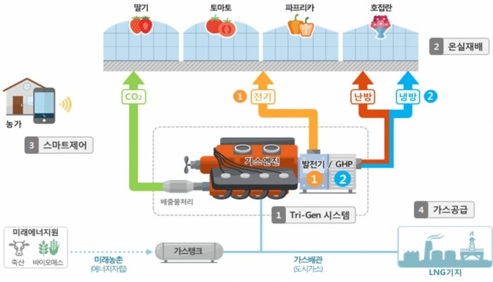 스마트 온실, 삼중발전 시스템으로 효율성 높인다