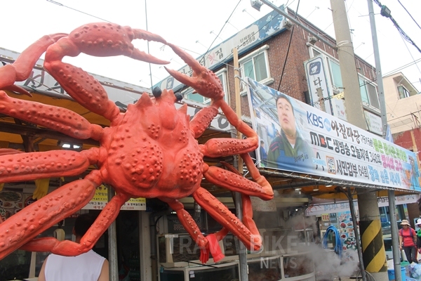 가을 강릉 여행은 숨겨진 제철 맛집 대게를 찾아서!