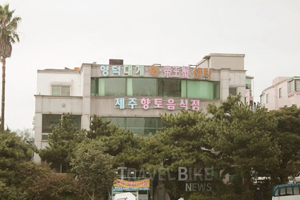 서귀포 자연휴양림 단풍 절정, 서귀포 유일 대게 맛집은