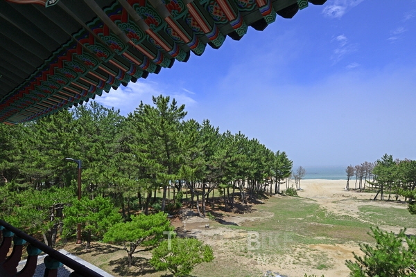 동해따라 울진에서 드라이브 여행, 후포리대게로 마무리