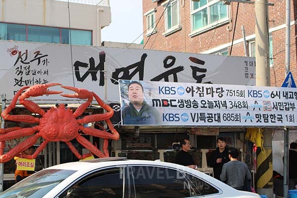 봄 하면 강릉이지! 맛집 가는 길에 만난 경포대 벚꽃축제