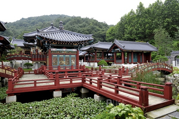 6월에 떠나는 서울 근교 여행지, 재미가 가득 용인 테마파크 여행