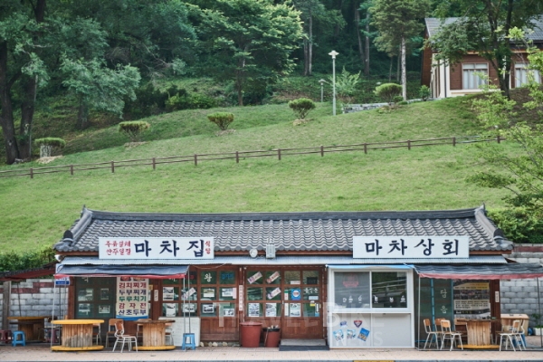 래프팅, 뗏목, 탄광문화촌 등 체험 여행으로 가득한 강원도 영월 여행