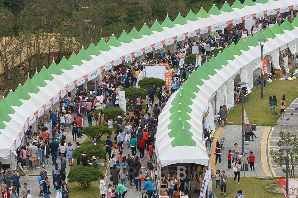 강릉 갈 때 텀블러 가져가야 하는 이유! 강릉커피축제와 주문진 맛집