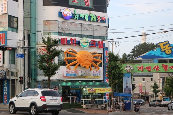 겨울바다와 항구의 낭만, 속초 삶의 현장과 동명항 맛집