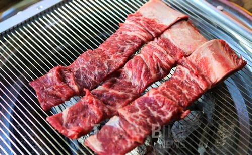 겨울에 만나는 벚꽃터널 아침고요수목원과 포천 이동갈비맛집