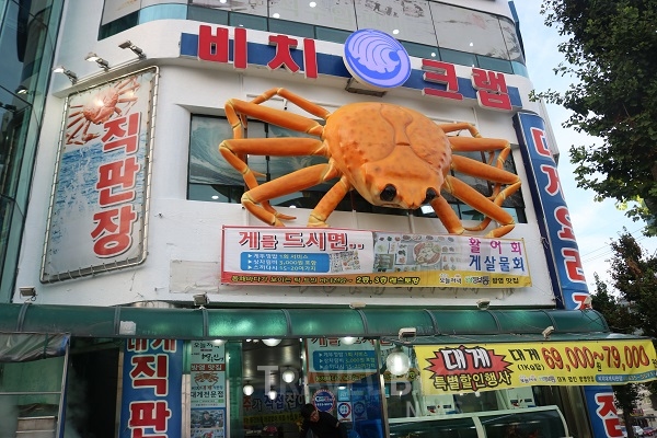 겨울바다가 좋다 속초 데이트코스와 맛집 추천