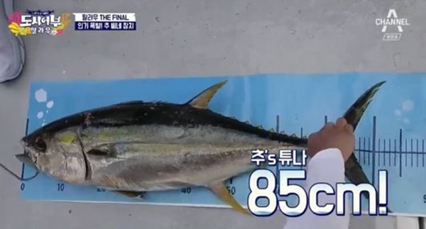 추성훈, 상어 놓쳤지만 거대 참치 포획 85cm..도시어부 황금배지
