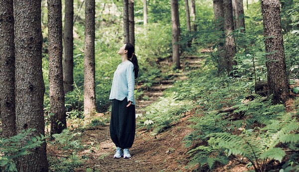홍천 선마을 웰니스 명상캠프 28일부터 30일까지 진행… 맞춤형 명상으로 힐링 제공