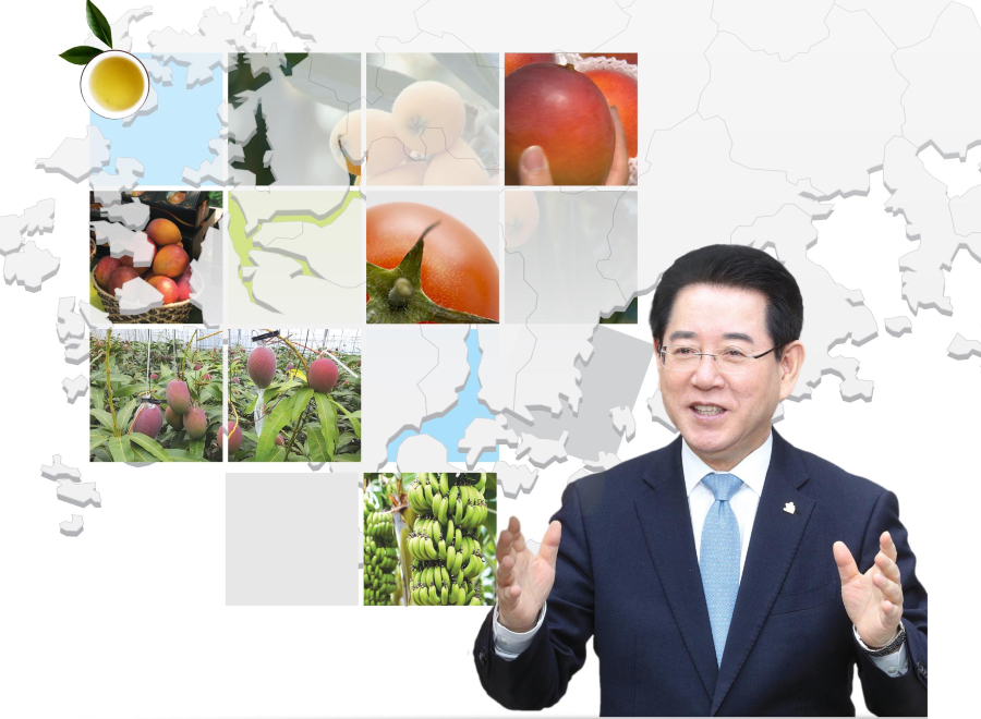 전남 농정, 아열대 과일의 달달함으로 새로 쓴다