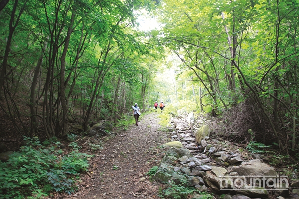 한국등산트레킹지원센터, 숲길의 현재와 미래 주제로 심포지엄 연다