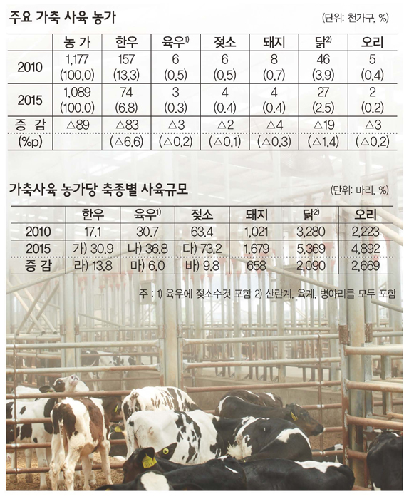 우리나라 축산업 어떻게 바뀌었나 - 2015 농림어업총조사 - 축산부문