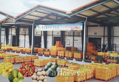 [탐방] 고령군농협조합공동사업법인