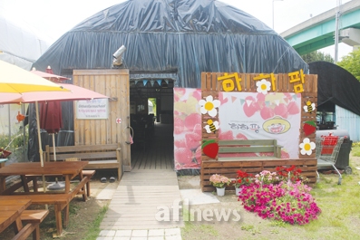[기획연재] STAR 청년농업인을 찾아서 (8) 민재호 하하팜 대표