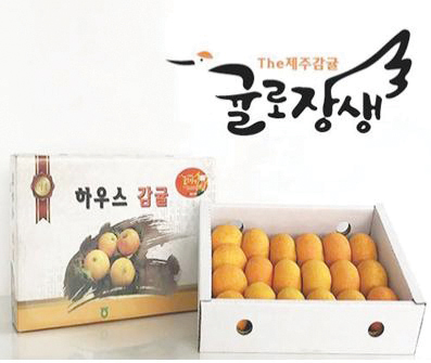 [탐방]제주농협조합공동사업법인