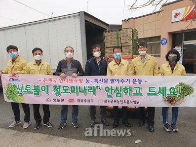 청도군, 신토불이 청도미나리 팔아주기 운동 전개