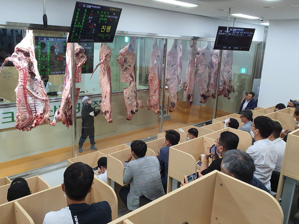 포크빌 유통센터서 거세한우 최고가 경락