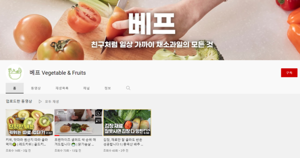 동화청과, 채소·과일 활용법 알려주는 신규 유튜브 채널 개설