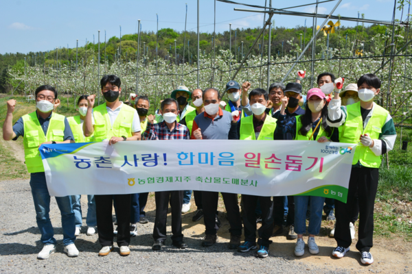 농협 축산물도매분사, 사과 적화작업 일손 돕기 실시