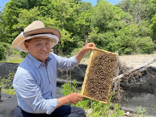 벌꿀 작황 호조…전체 생산량은 감소 예상