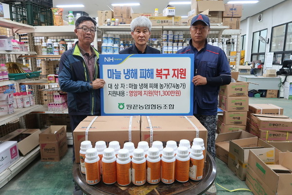땅끝농협, 마늘농가 75곳에 영양제 지원