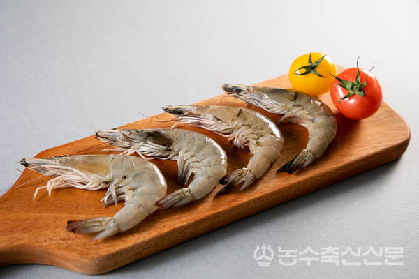 [기획] 우리 바다, 건강한 수산물 (8) 새우