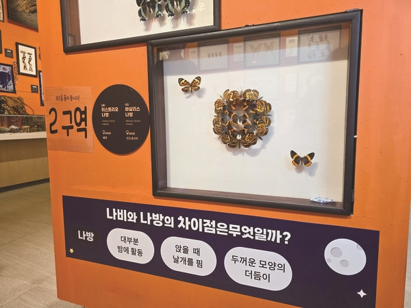  [2024 꿈을 일구는 청년농업인] 6. 신미담 이화곤충공방 대표