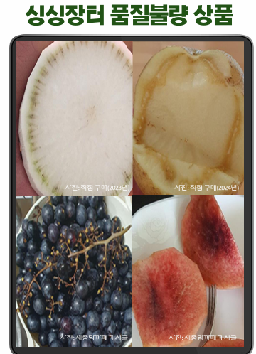 박란희 세종시의원,  싱싱장터 공급체계 개선해야