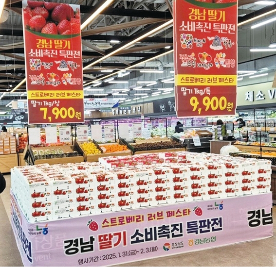 경남도·농협경남부본부, 딸기 소비촉진 행사 지행