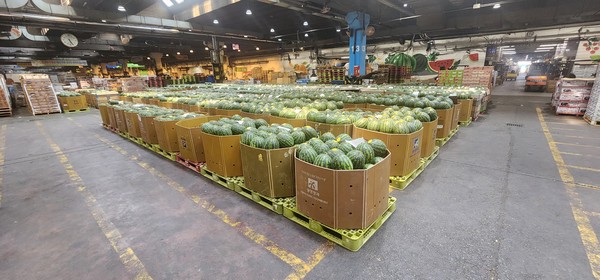중앙청과, 수박 물류 효율화 사업으로 하역 비용 절반 이상 절감