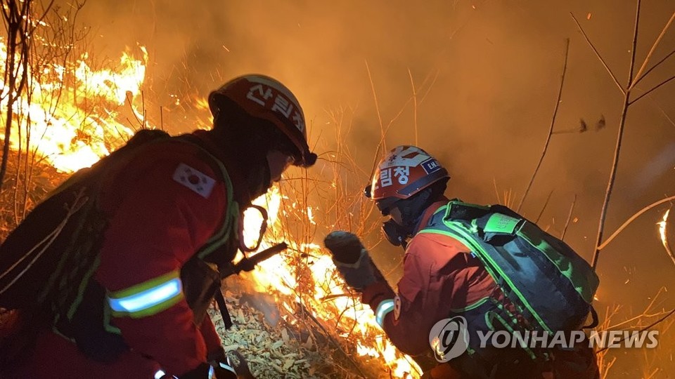강원 정선 산불, 밤새 장비 28대·인력 336명 투입 등 진화에 총력