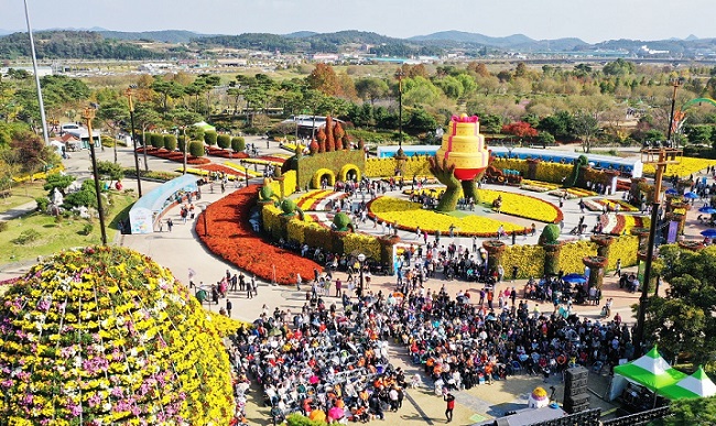 함평 대한민국 국향대전, 축제 콘텐츠대상 선정
