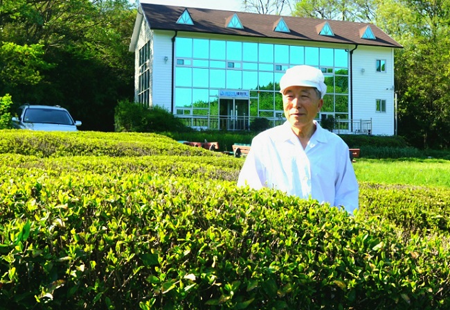 전남도, 이달의 친환경 농산물에 보성 유기농 녹차 선정