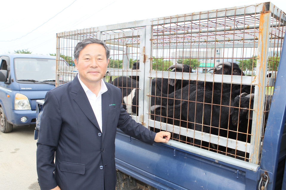 강진완도축협 염소 경매시장 첫 개장…600여명 인파