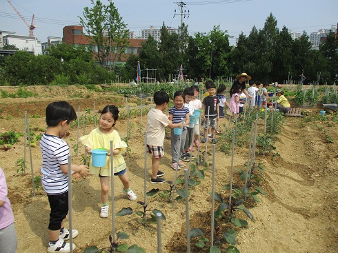 대구자연누리유치원, 제6회 대구도시농업박람회 행복텃밭 공개