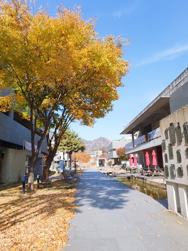 동국대 “만해마을청소년수련원, 청소년 최우수 수련시설 선정”