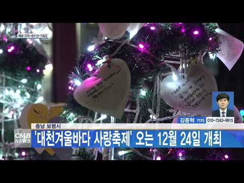 대천겨울바다사랑축제