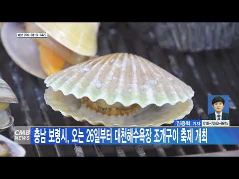 대천해수욕장 조개구이 한마당