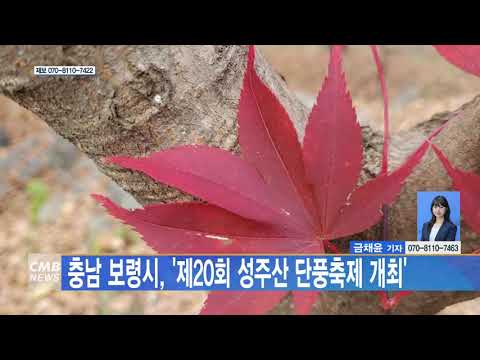 제20회 성주산단풍축제