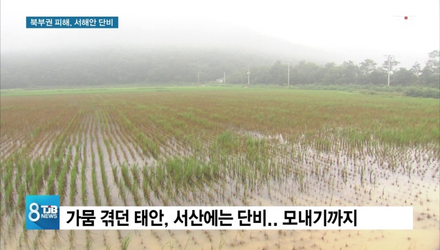[리포트]천안은 피해속출, 서산은 단비
