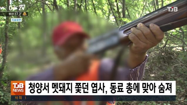 청양서 멧돼지 쫓던 엽사, 동료 총에 맞아 숨져