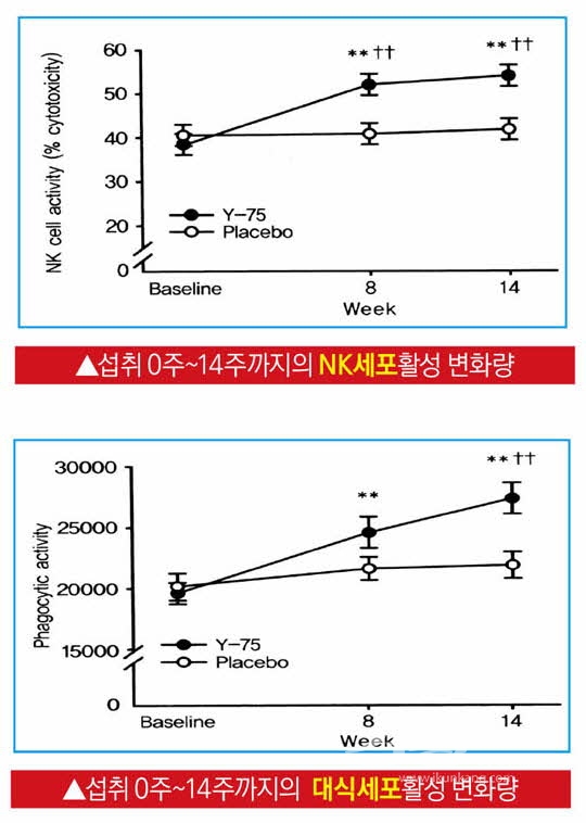 인삼다당체 진산 놀라운 기능성! NK세포·대식세포 활성화 효과 입증