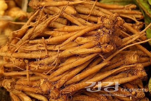 핑거루트 간편하게 즐기세요 새해맞이 핑거루트 식품 라인업 완료