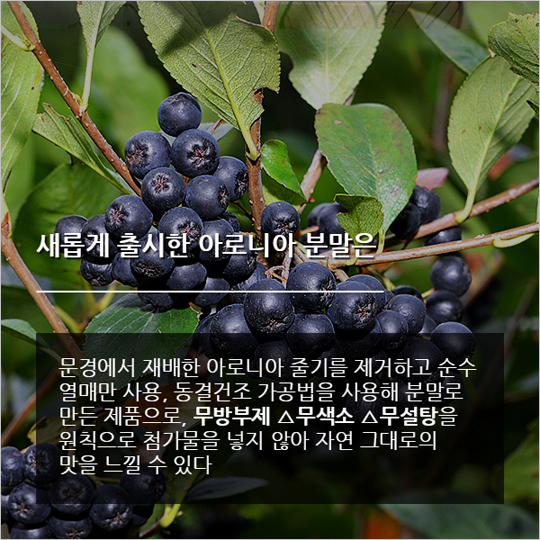 [카드뉴스] 그린종합식품, 동결건조 아로니아 분말 출시