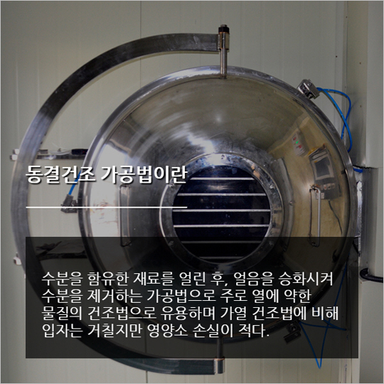 [카드뉴스] 그린종합식품, 동결건조 아로니아 분말 출시